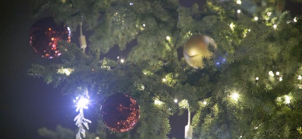 Vánoční strom Karlovy Vary