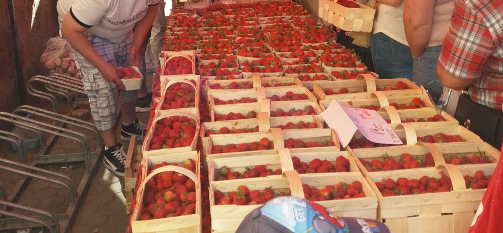 jahody na farmářských trzích