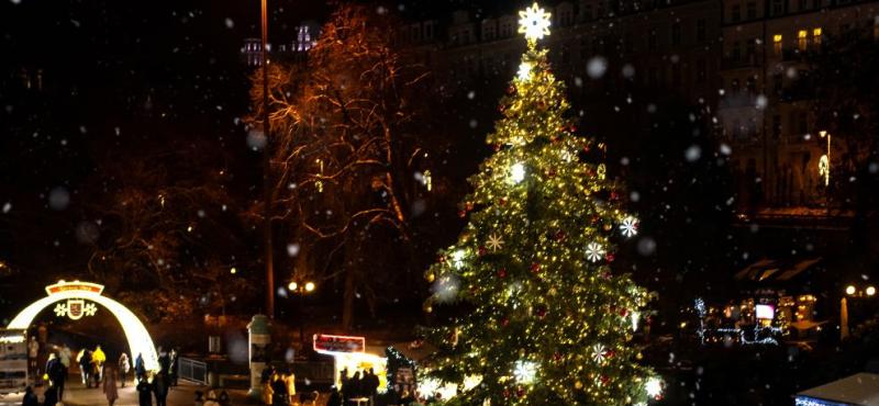 vánoční strom města 