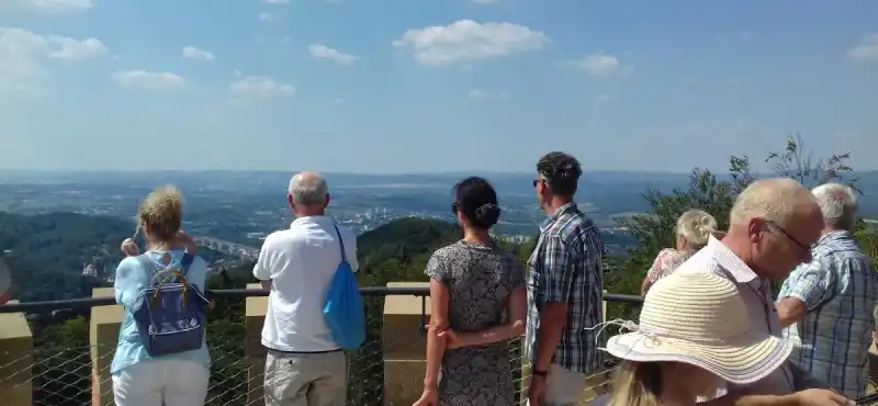 Projekt "Rok v lese"