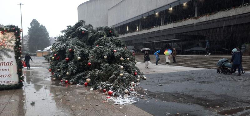 pád vánočního stromu