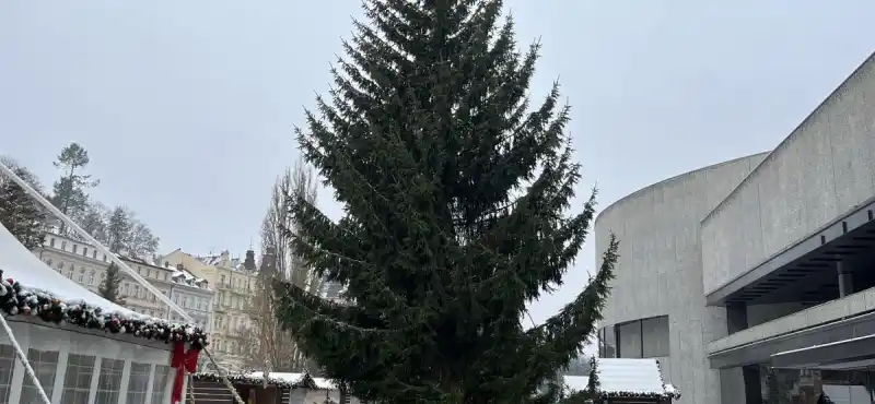 vánoční strom města