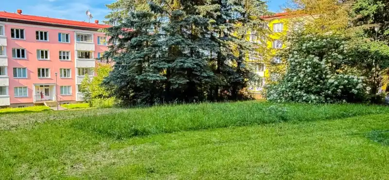 sekání trávy ve městě
