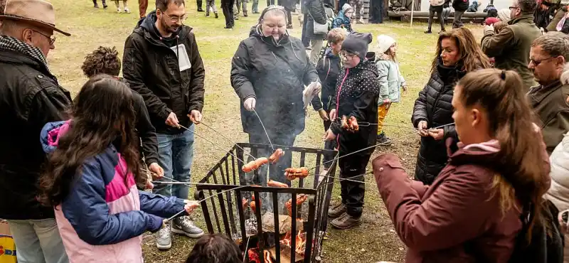 Buřty v lese