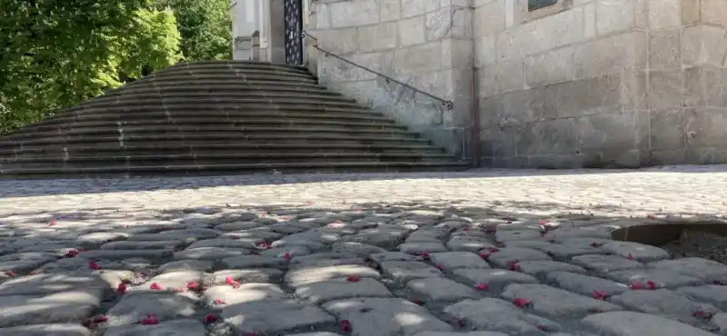 dlažba u kostela