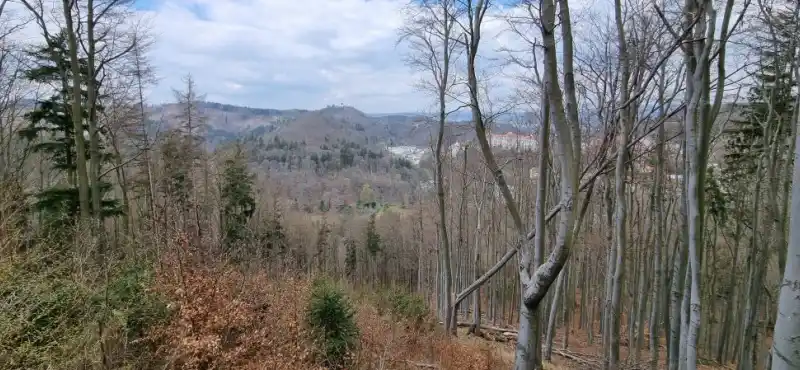 Rezervace Karlův hvozd