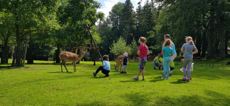 krmení zvěře v lázeňských lesích