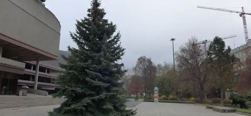 Vánoční strom města