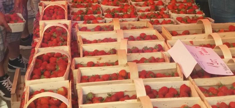 farmářské trhy_jahody