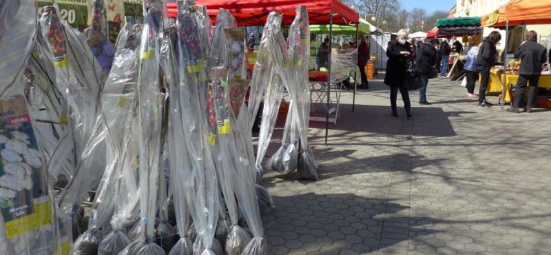 farmářské trhy - keře