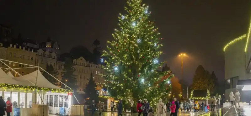 vánoční strom 2025