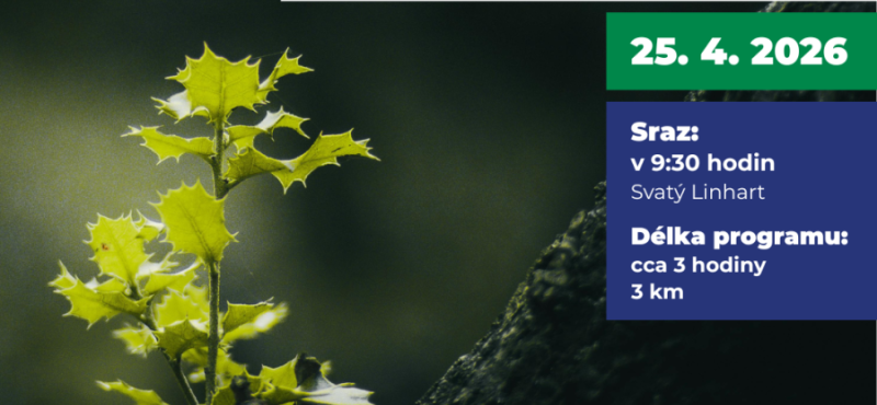 Plakát k akci Společně vysadíme nový les