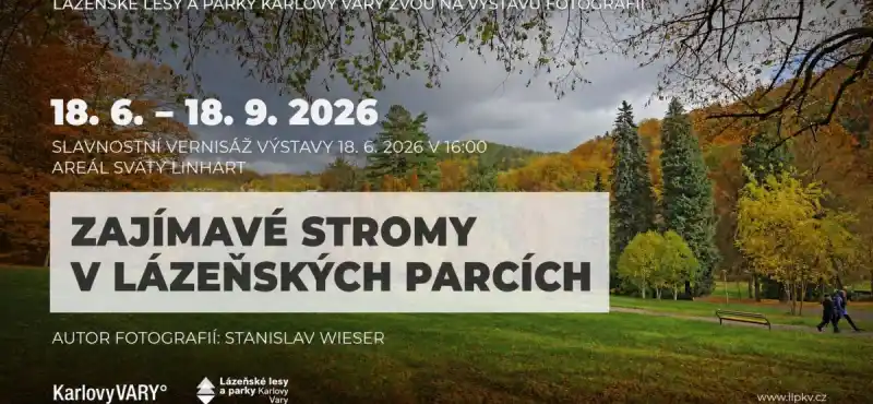 Plakát k akci Zajímavé stromy v lázeňských parcích