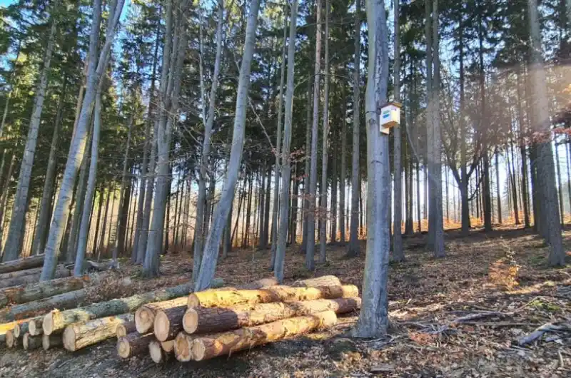 Značení běžeckých tras budkami
