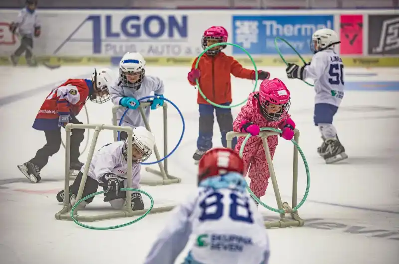 Festival sportu 2025
