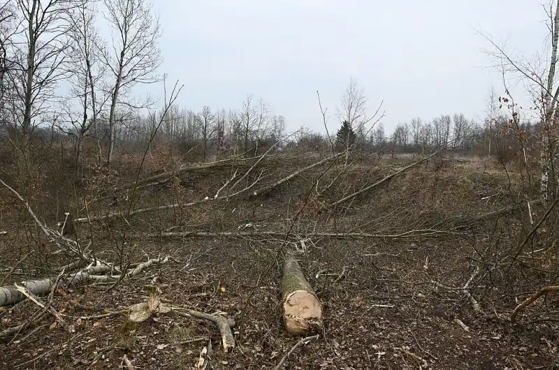 Lokalita pro nové zahrádky