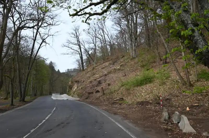 Slovenská