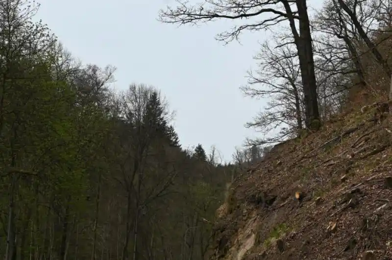Slovenská