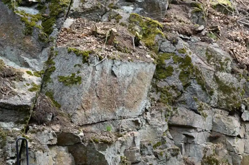 Slovenská