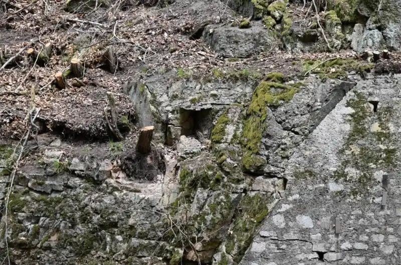 Slovenská