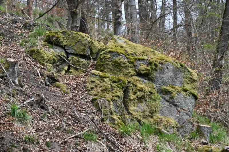 Slovenská