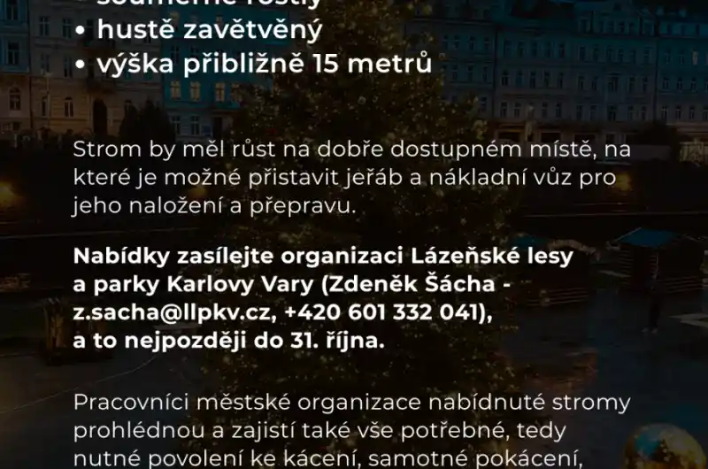 hledáme vánoční strom