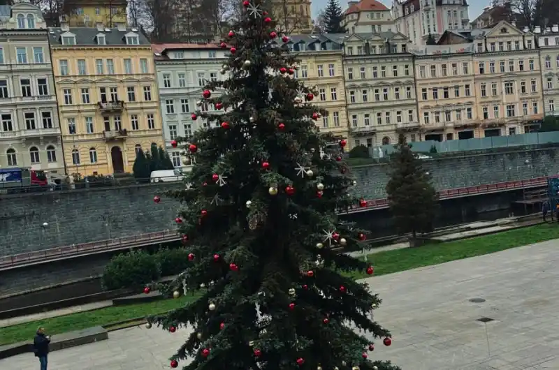 Vánoční strom města