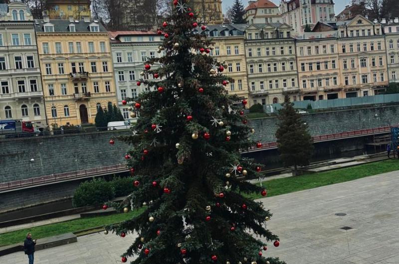 Vánoční strom města