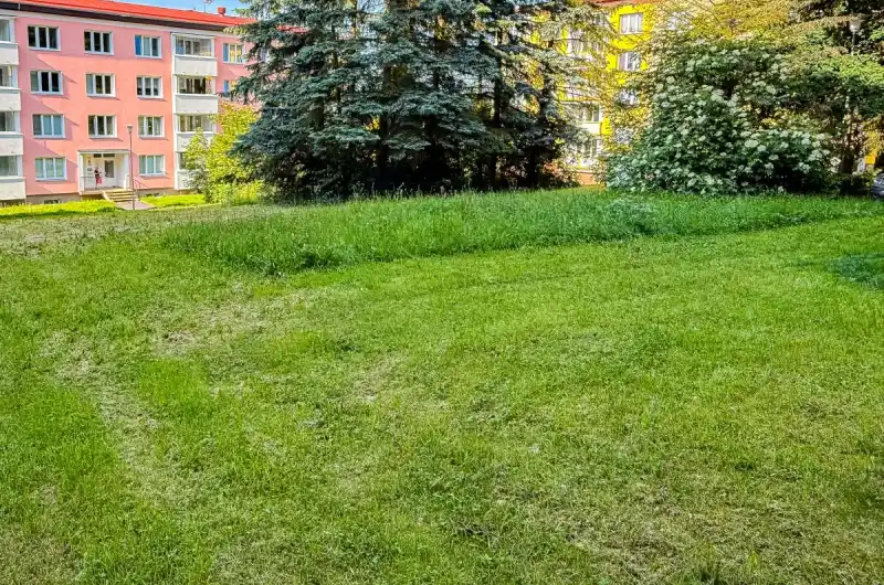 sekání trávy ve městě