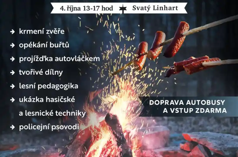 Buřty v lese