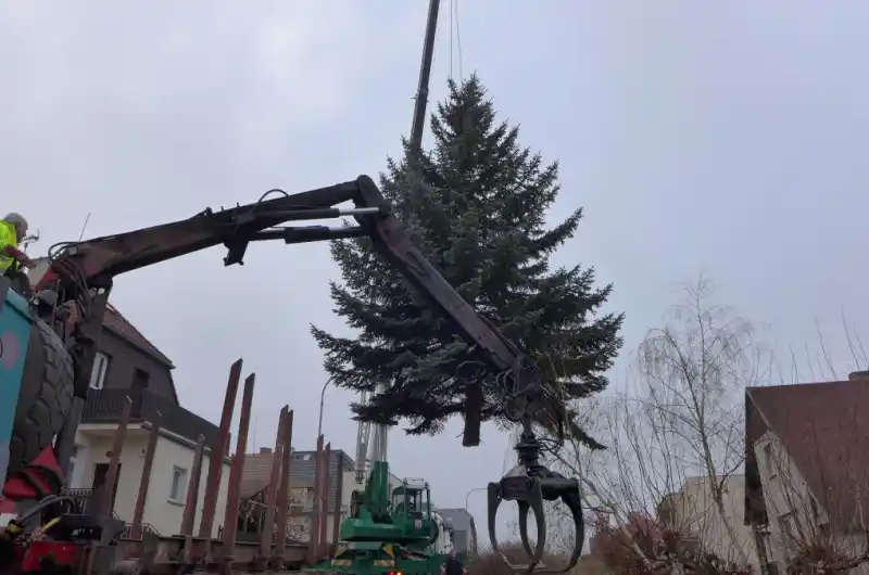 vánoční strom - nakládka