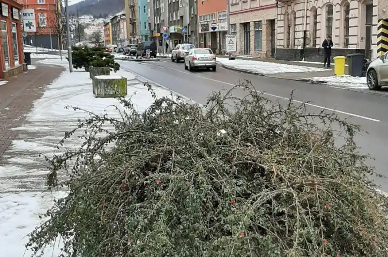 Sokolovská_betonové květináče