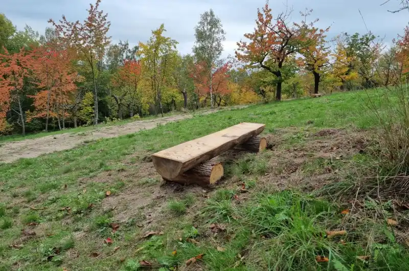 Třešňovka v Doubí