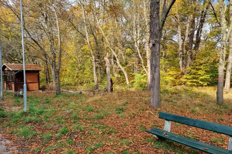 jírovce