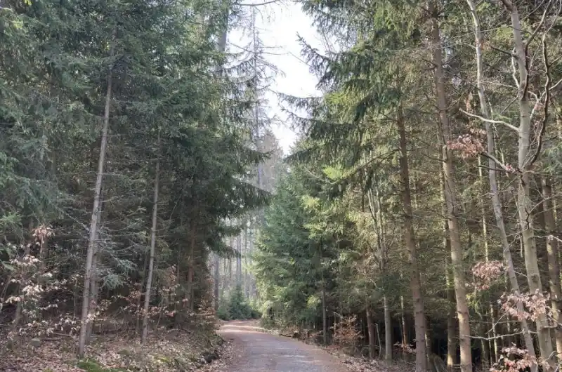 Tuhnická stezka