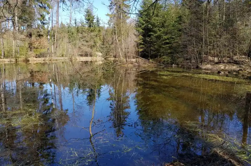 Vodohospodářská opatření v lesích - nádrže