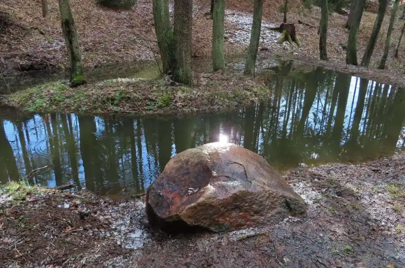 Vodohospodářská opatření v lesích - tůně