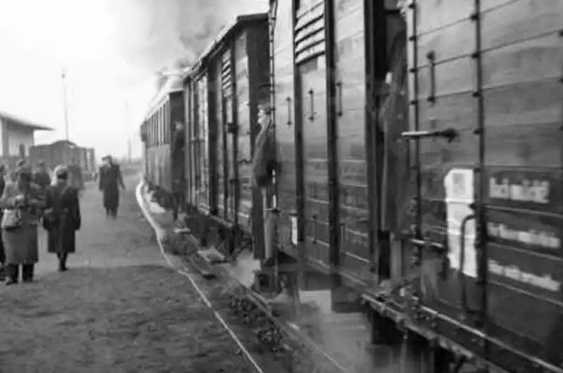 Transporty 