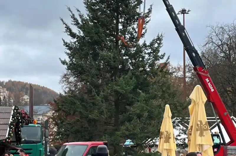 vánoční strom bude nahrazen