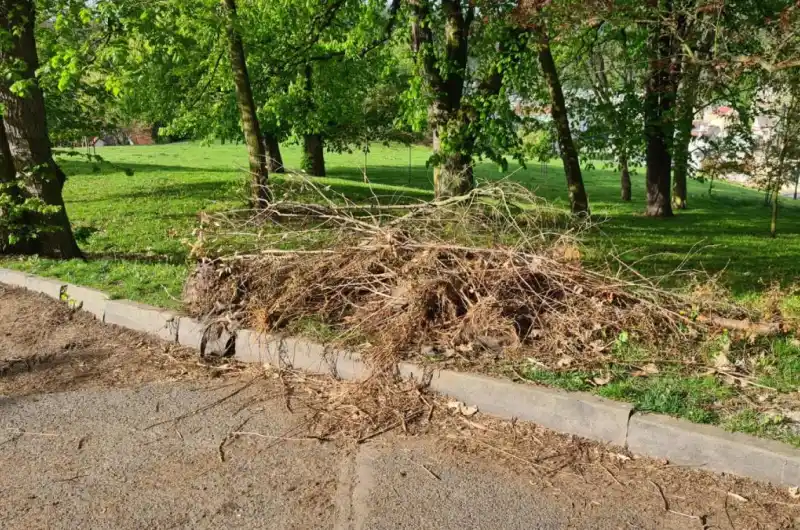 Klestí
