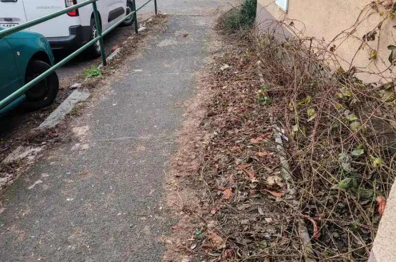 Chodník zarostlí 