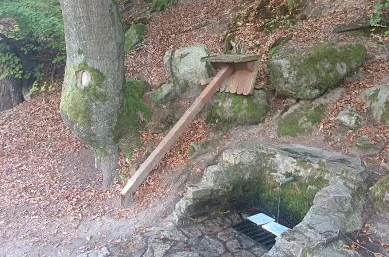 Foto 
