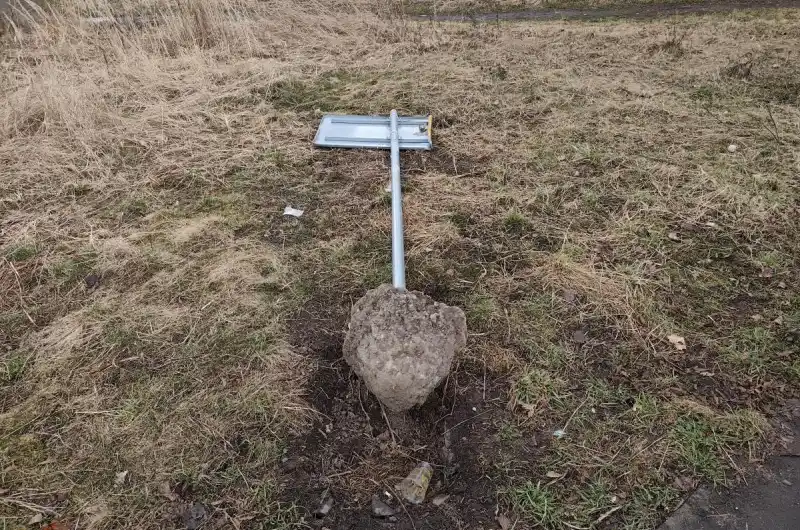 Povalený velký rozcestník