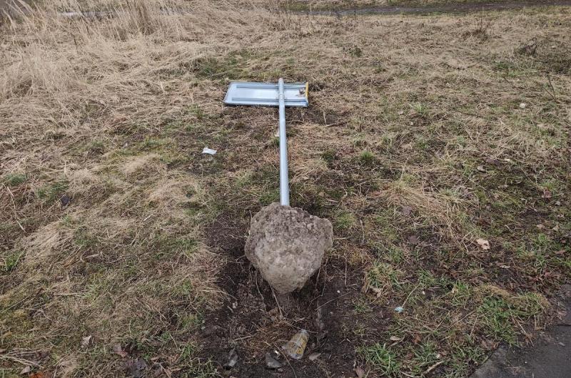 Povalený velký rozcestník