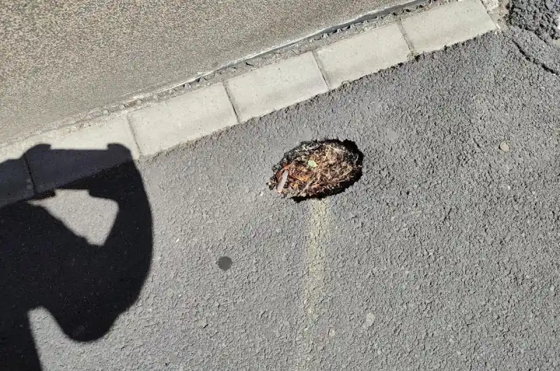 Díra v chodníku u domu 210/52