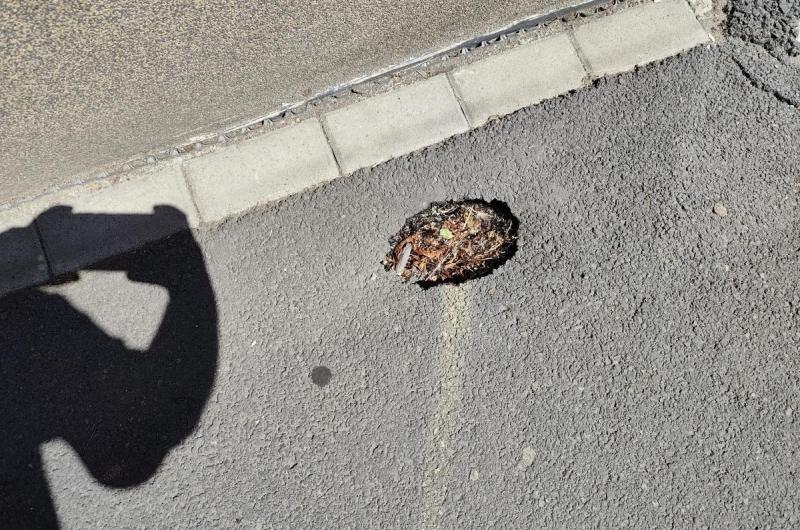 Díra v chodníku u domu 210/52