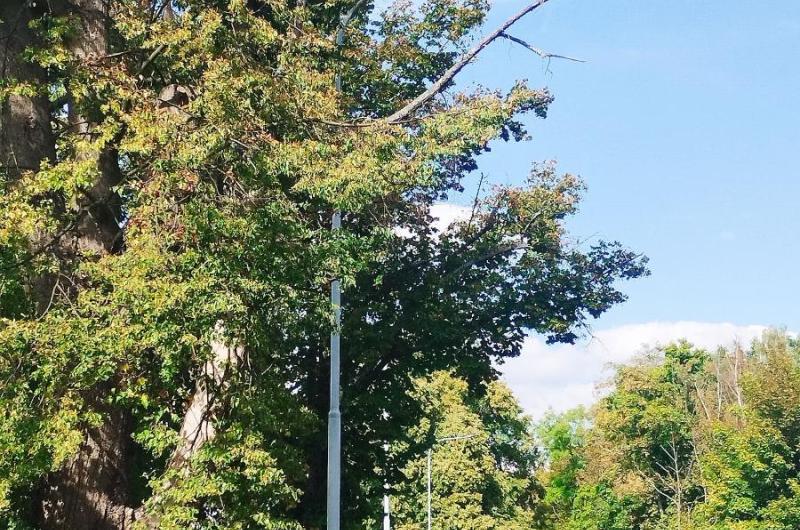 Nad vozovkou u Krajské knihovny 