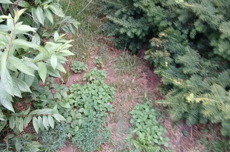 Okruzni