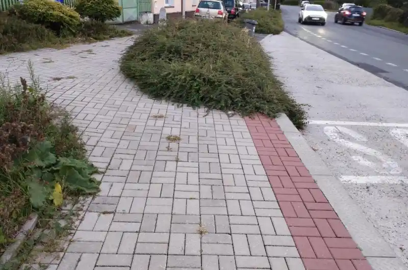 Keře na chodníku 