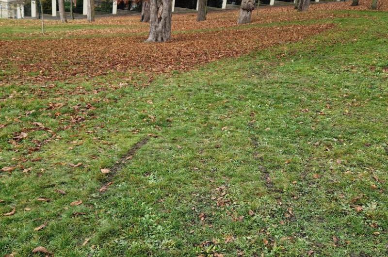 Poničený trávník 